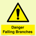 danger-falling-branches~